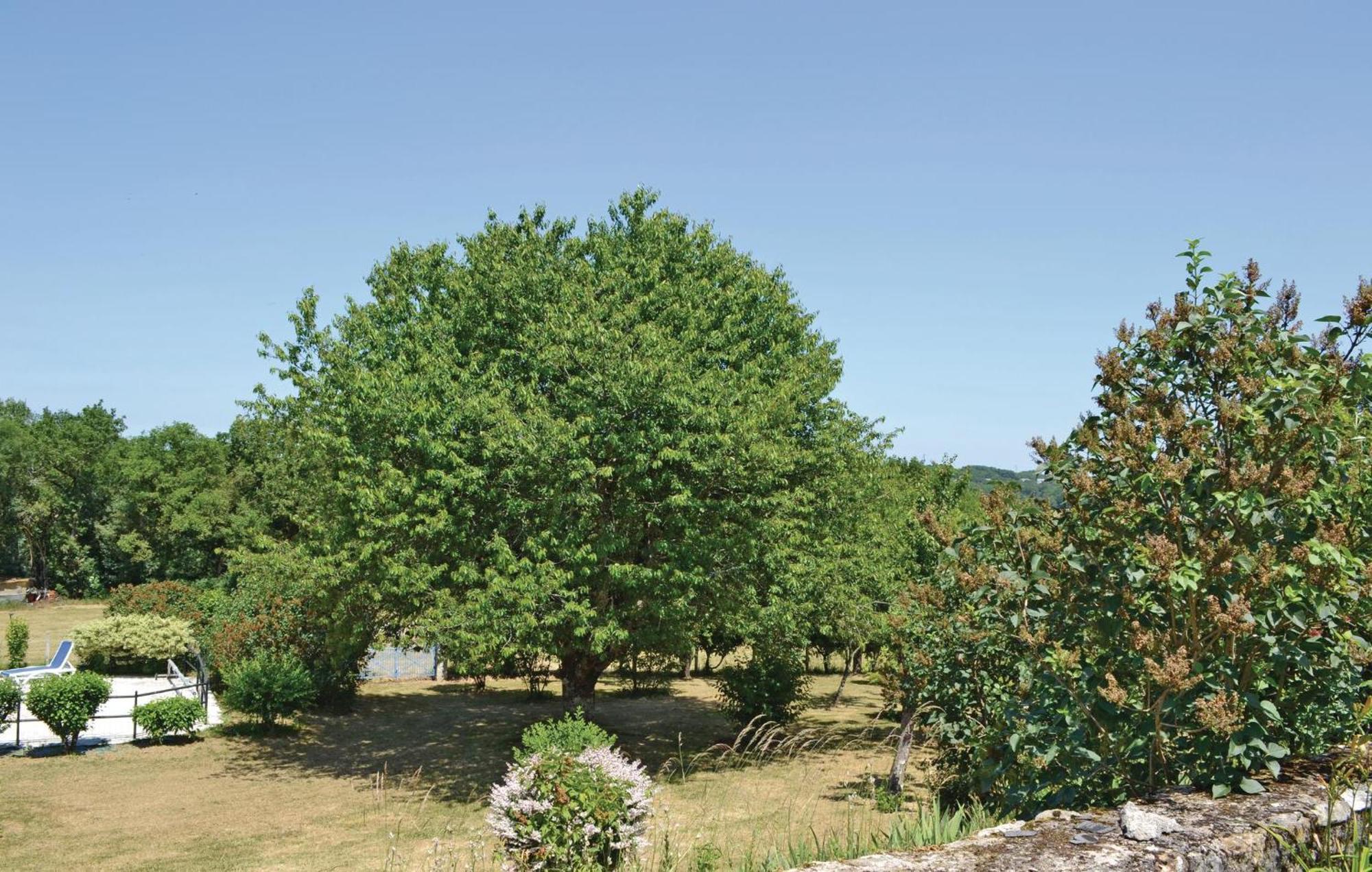 Amazing Home In Ladornac With Kitchen La Dornac Bagian luar foto